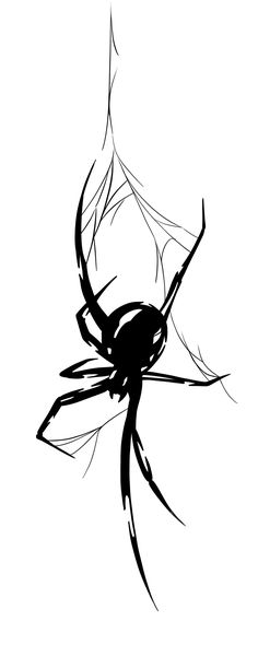 a black and white drawing of a spider