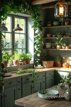 a kitchen filled with lots of green plants and potted plants on top of shelves