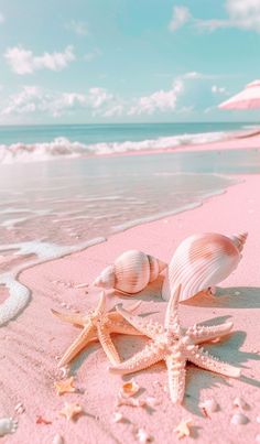 two seashells and starfish on pink sand at the ocean's edge