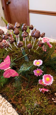 there are many flowers and mushrooms in the moss on the table top with chocolate candies