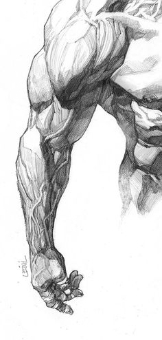 a pencil drawing of a man with muscles