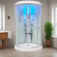 a bathroom with a glass shower stall next to a potted plant