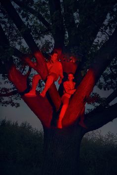 two people are sitting in the middle of a tree at night with red light shining on them