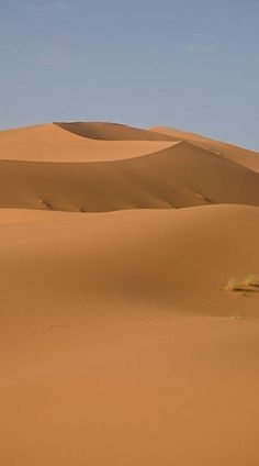 two people walking in the desert with sand dunes