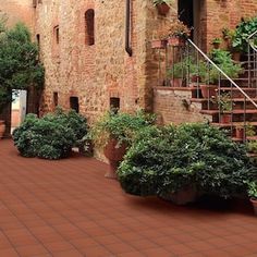 an artist's rendering of a courtyard with potted plants and stairs in the background