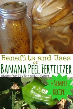 two jars filled with banana peels sitting on top of a table next to green peppers