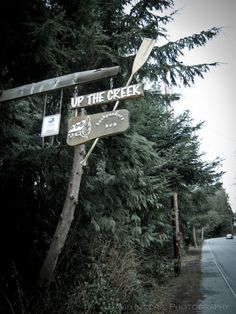 a street sign hanging from the side of a tree next to a road with trees in the background