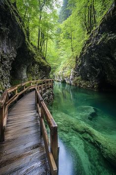 a wooden bridge over a river surrounded by lush green trees