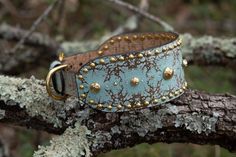 a dog collar with gold studs on it sitting on a tree branch in the woods