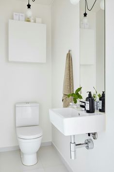 a white bathroom with a toilet, sink and plants in the corner on the wall