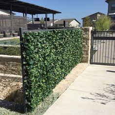 a large green hedge next to a fence