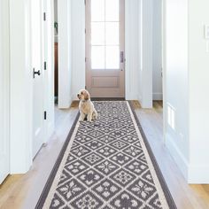 a dog is sitting on the rug in front of the door and looking into the hallway