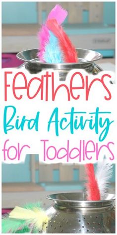 the cover of feathers and activity for toddlers is shown with an image of a feather in a metal container