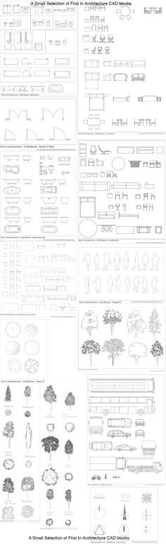 some diagrams are shown in black and white, with trees on the bottom right hand corner