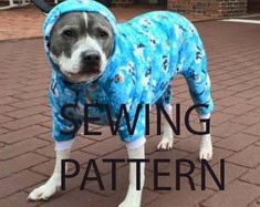 a dog wearing a blue shirt and white socks with the words sewing pattern on it