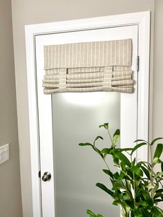 a potted plant sitting in front of a mirror next to a door with a window covering