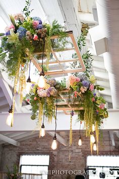 an instagram page with flowers hanging from the ceiling and light bulbs in the background