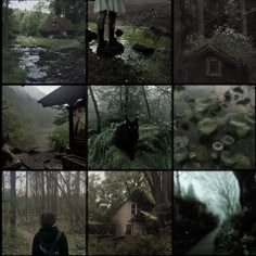 a collage of photos with a person and a dog in the woods, trees, water and houses