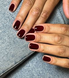 Short Nail Plain Color, Opera Nails, Dark Red Gel Nails, Burgundy Short Nails, Dark Short Nails, Short Dark Nails, Biosculpture Gel Nails, Dark Burgundy Nails, Bio Sculpture Gel Nails