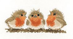 three little birds sitting on a branch with their heads turned to the side and eyes closed