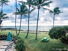 the lawn is lined with lounge chairs and palm trees near the ocean on a cloudy day