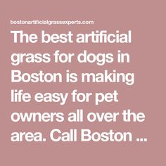 the best artificial grass for dogs in boston is making life easy for pet owners all over the area