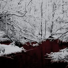 snow covers the ground and trees near a stream