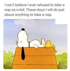 a cartoon character laying on top of a roof with the caption that reads, i can't believe i ever refuse to take a nap as kid