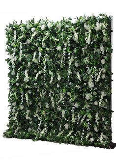 an artificial green wall with white flowers and greenery growing on the top, in front of a white background