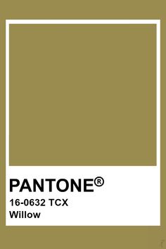 pantone's brown color is shown with the name and symbol for this painting