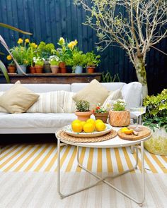 an outdoor patio with potted plants and lemons on the table in front of it