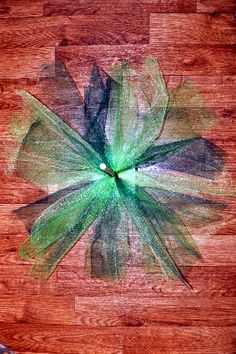 a green flower on top of a wooden floor