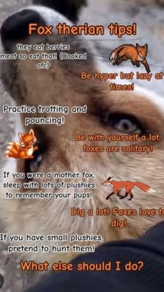 a fox with its nose open and the words fox theren tips written below it