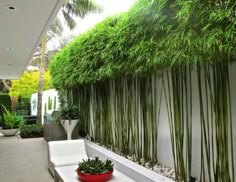 an outdoor living area with plants on the wall