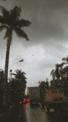 rain drops on the windshield of a car as it drives down a street with palm trees