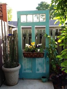 a potted plant sitting in front of a blue door