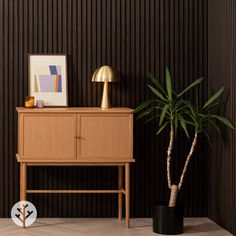 a wooden cabinet sitting next to a potted plant on top of a hard wood floor