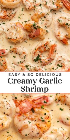 creamy garlic shrimp is an easy and delicious appetizer