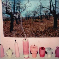 several candles are lined up in front of a photo on the wall with trees and leaves