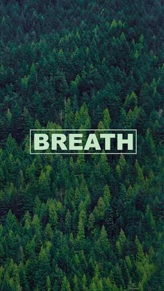 an aerial view of trees with the word breath written in white on it's side