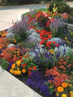 an assortment of colorful flowers in a flower bed