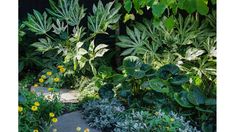 the garden is full of green plants and yellow flowers