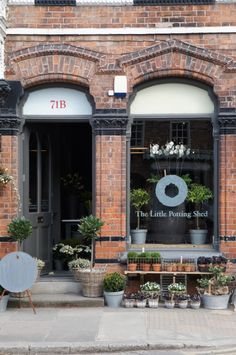 a store front with potted plants in the window