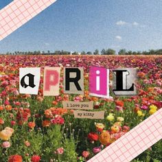 a field full of flowers with the words april spelled out