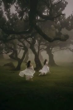 two women in white dresses are walking through the foggy grass with trees behind them