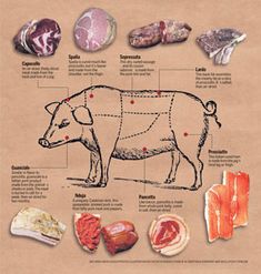 an info board with different cuts of meat on it