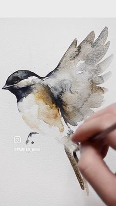 someone is drawing a bird with watercolors on the paper and it looks like they are flying