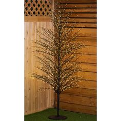 a lighted tree in the corner of a yard with grass and wooden fence behind it