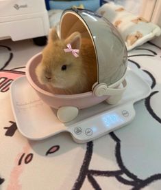 a hamster sitting in a small bowl on top of a scale with a pink bow