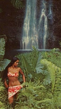 an image of a woman standing in front of a waterfall with ferns and ferns